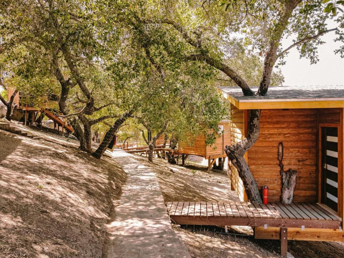 Boskenvid Hotel Boutique, Skypool Valle de Guadalupe Exterior foto