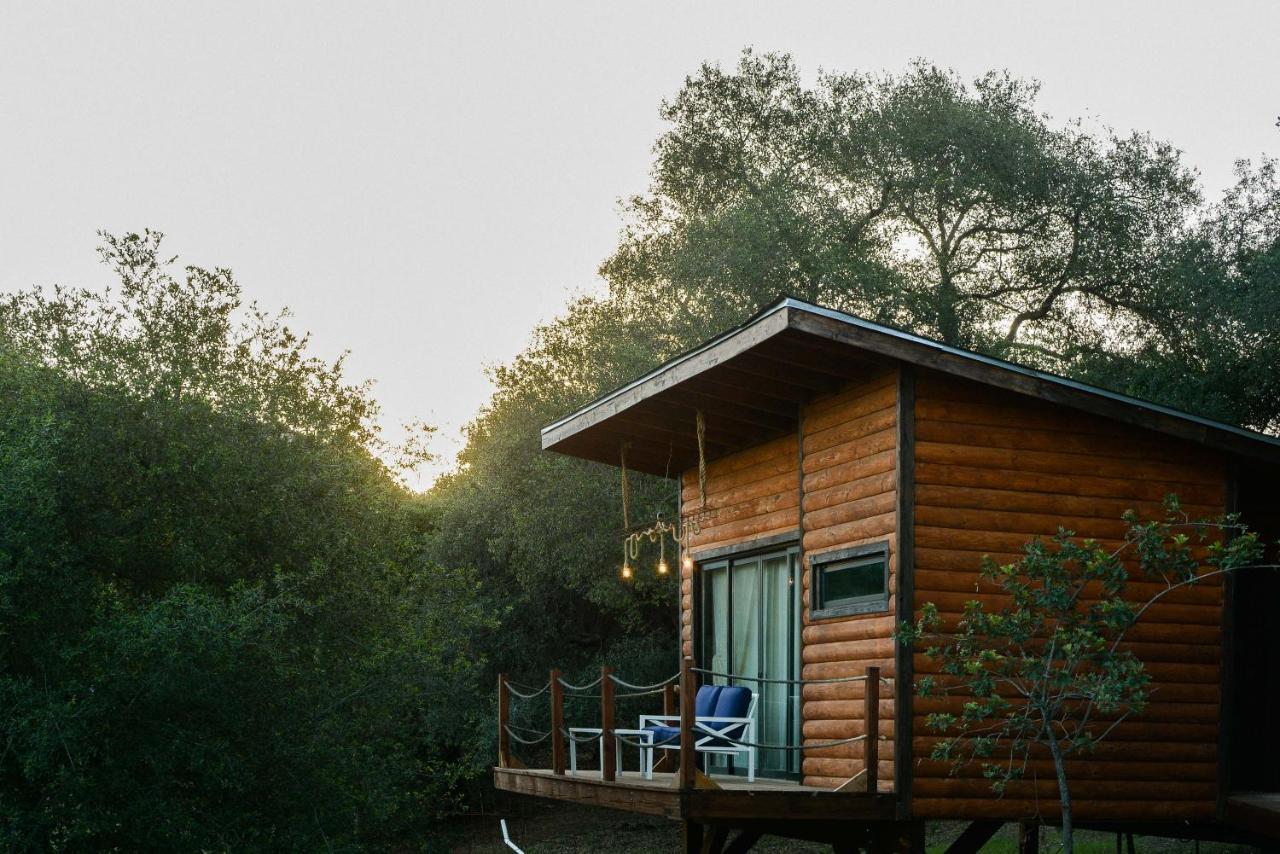 Boskenvid Hotel Boutique, Skypool Valle de Guadalupe Exterior foto